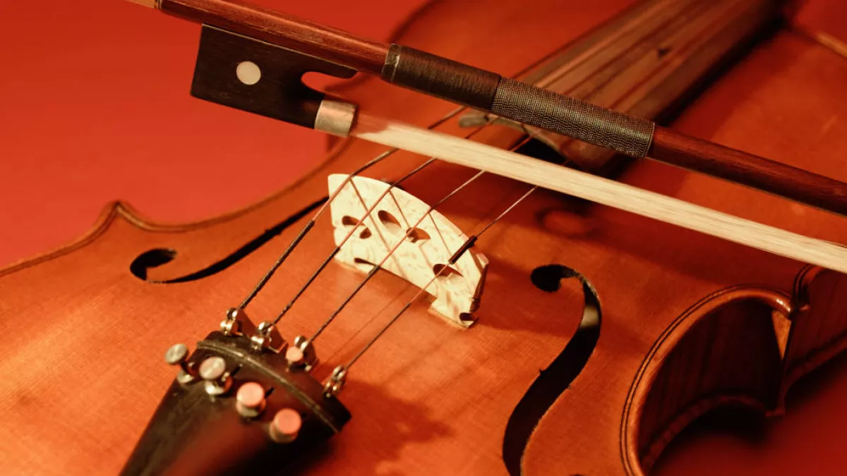 violon violon