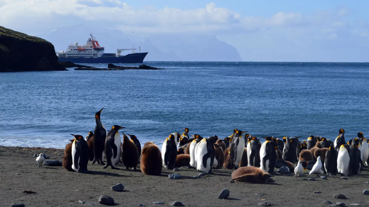 ©Florian Bailly « MARION DUFRESNE », NAVIRE DES ILES EXTREMES