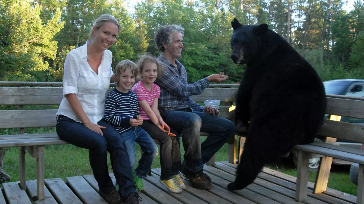 BBC Worldwide France SEUL AU MILIEU DES OURS