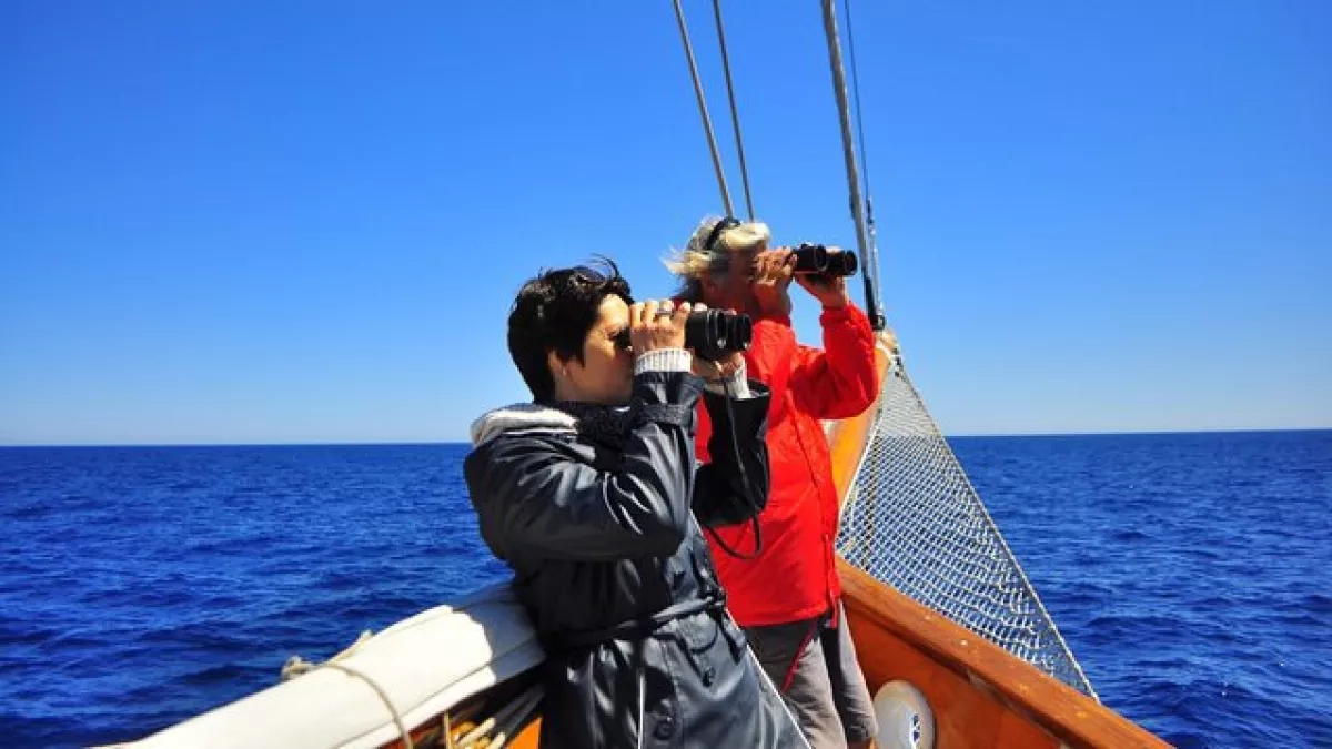 Le chant des sirènes en Méditerranée Le chant des sirènes en Méditerranée