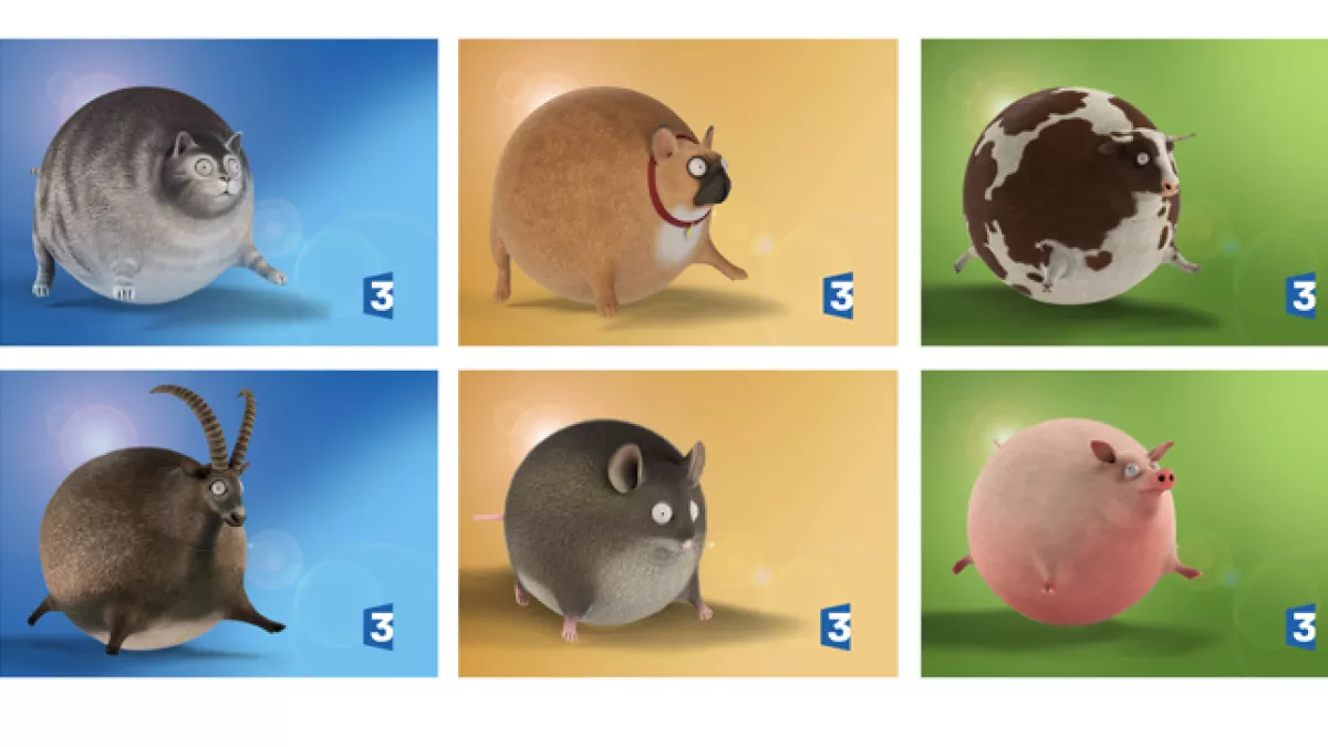 Animaux gonflés Animaux gonflés