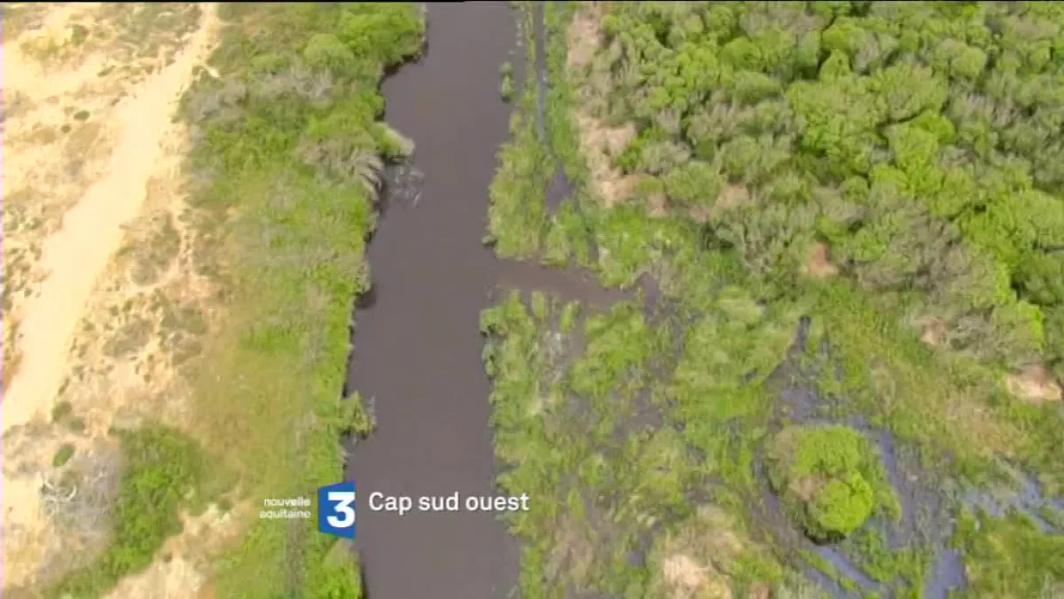 Cap Sud Ouest Landes Cap Sud Ouest Landes
