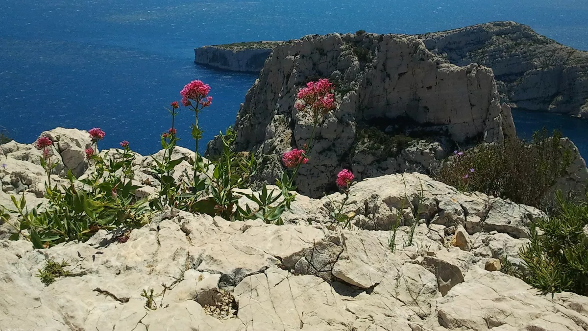 calanques © F Brun calanques