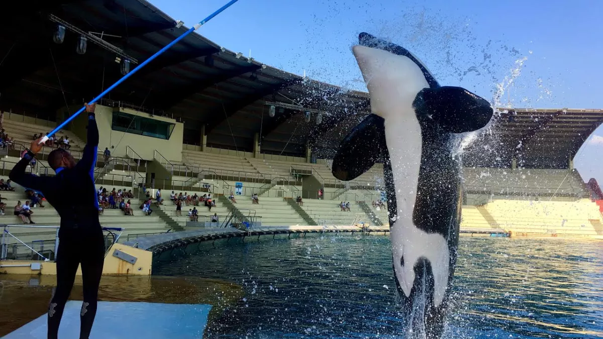 marineland marineland
