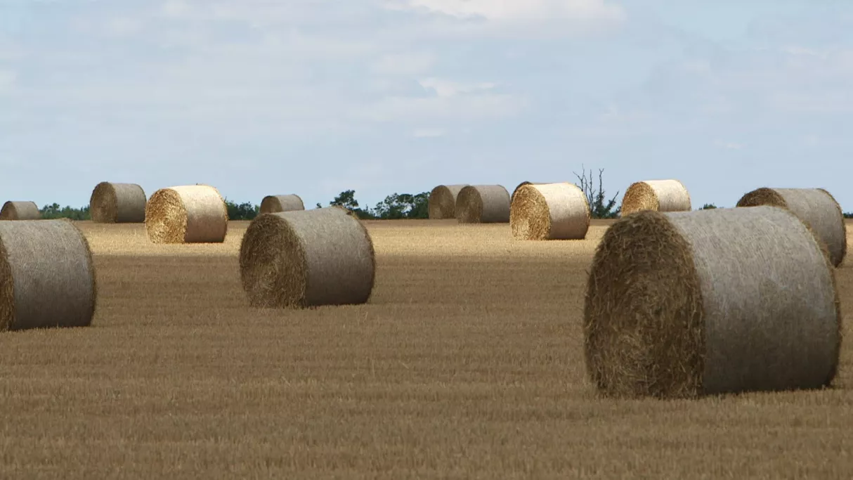 DISPARITION DES TERRES AGRICOLES : ENQUÊTE SUR UN BUSINESS QUI RAPPORTE » Pièces à conviction