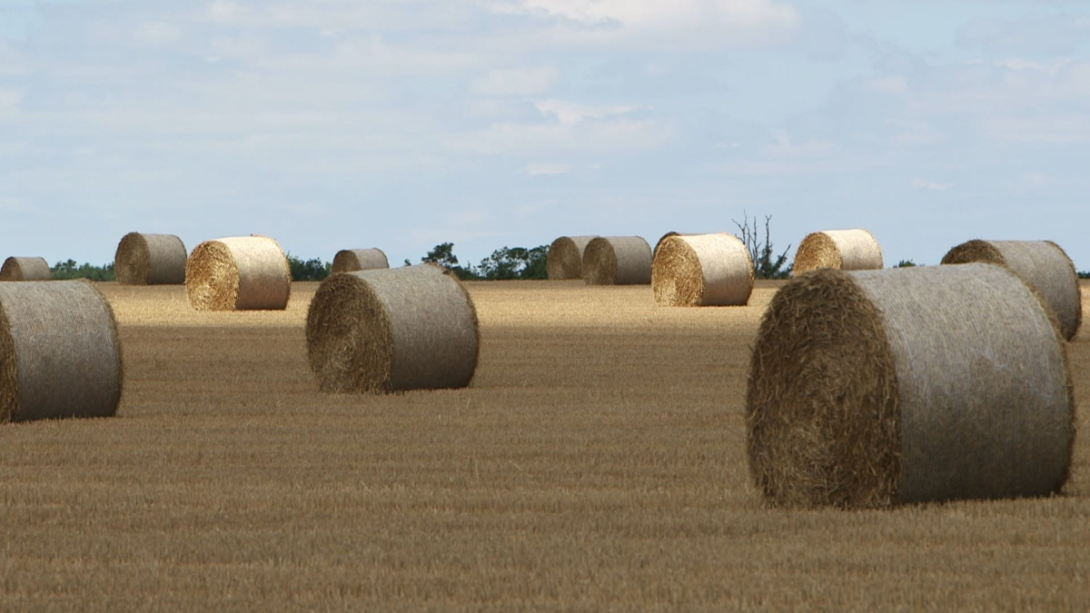 Pièces à conviction