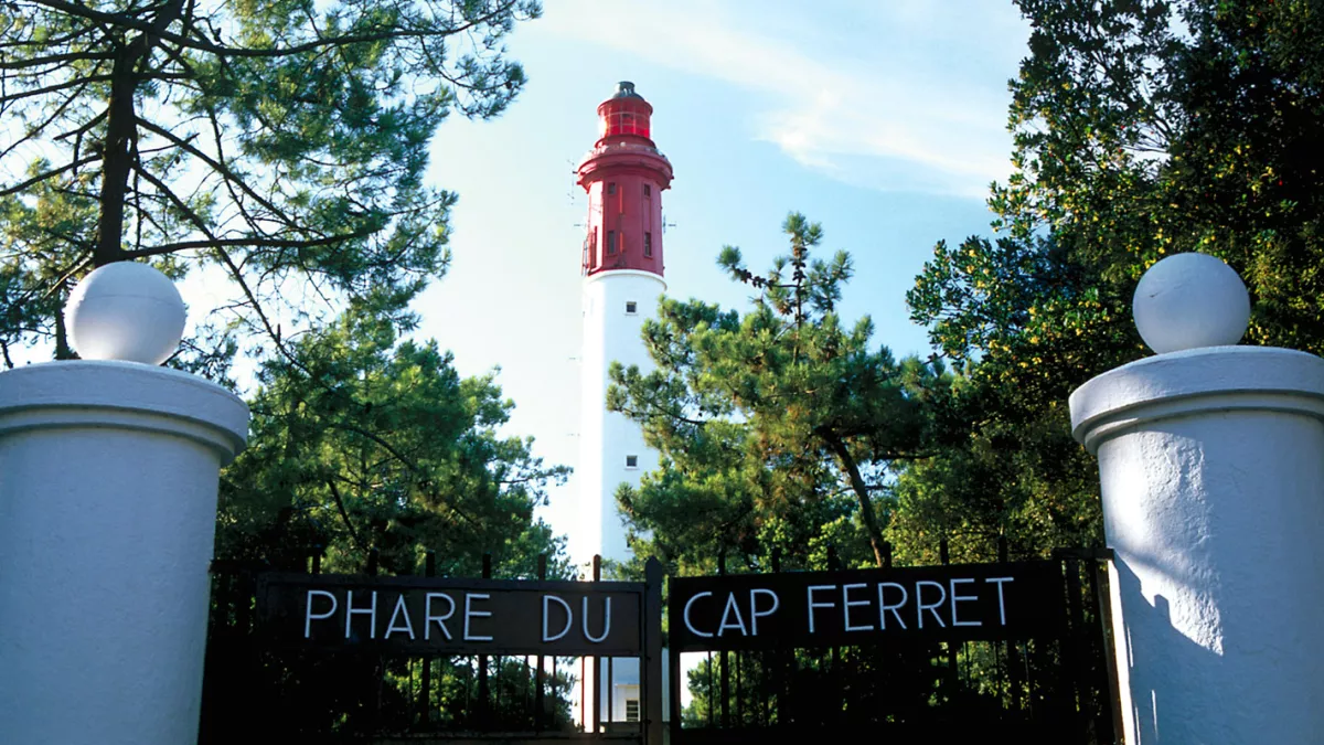 cap ferret cap ferret