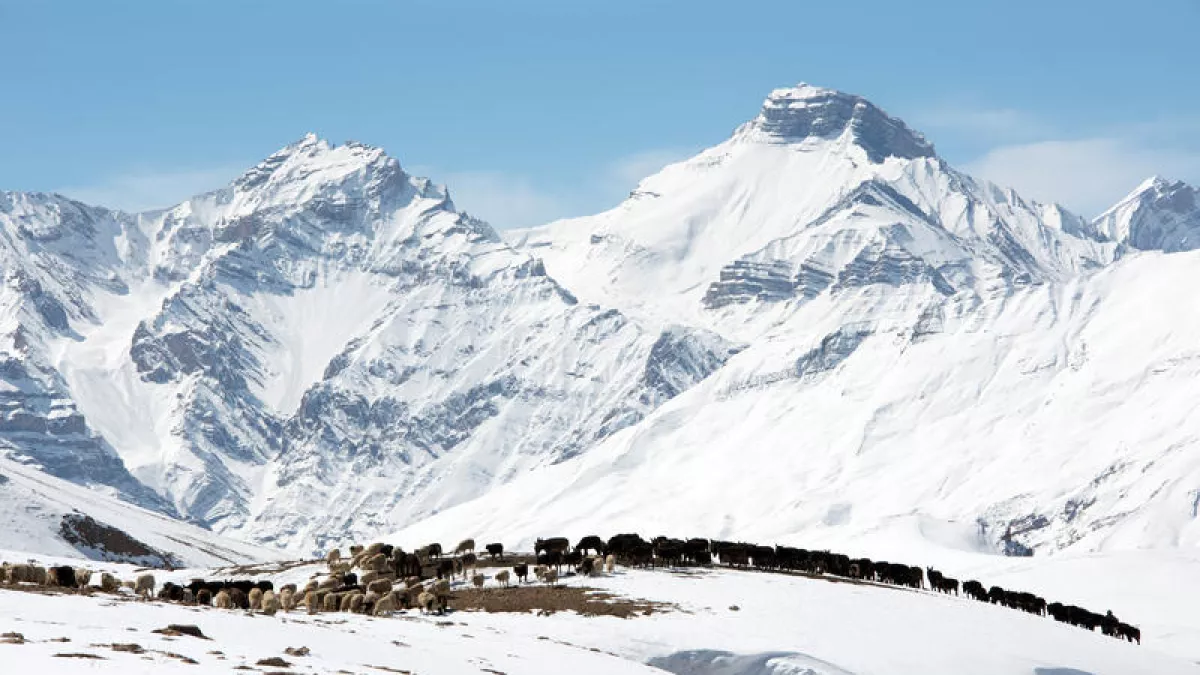 montagnes sauvages