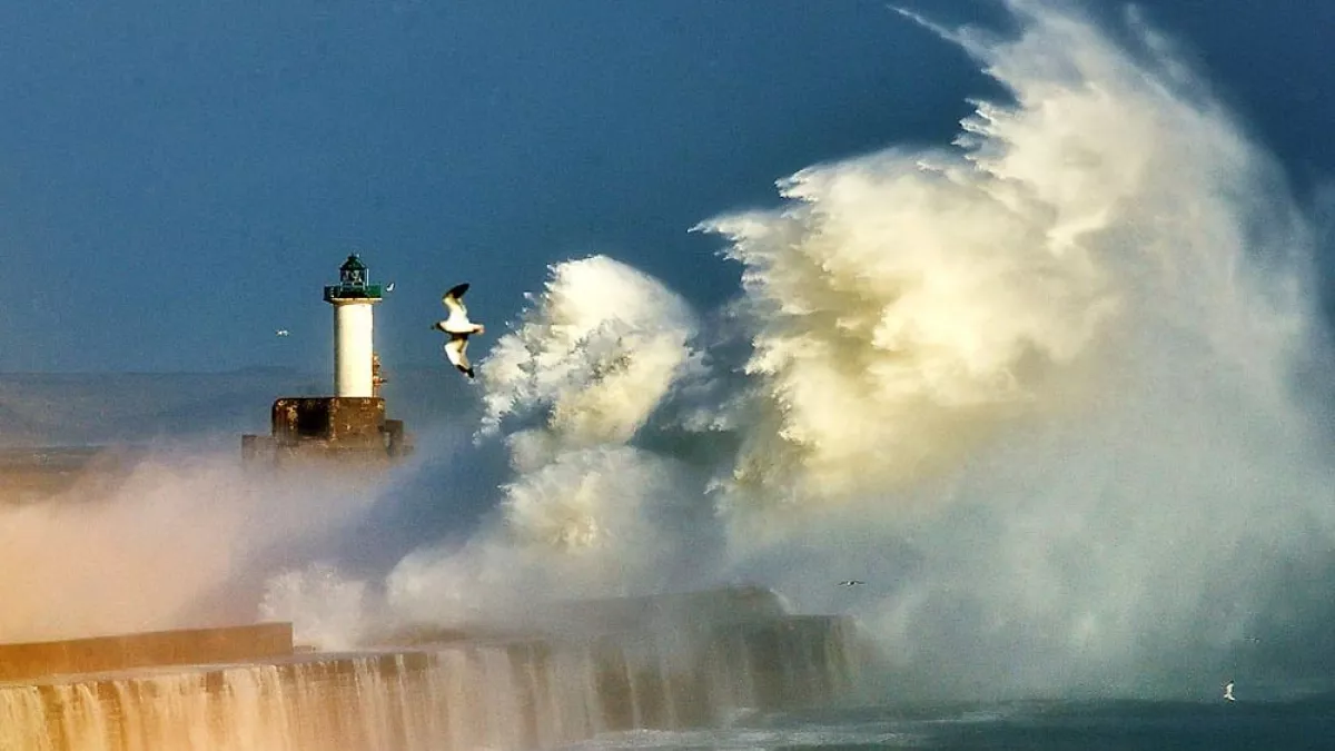phare phare