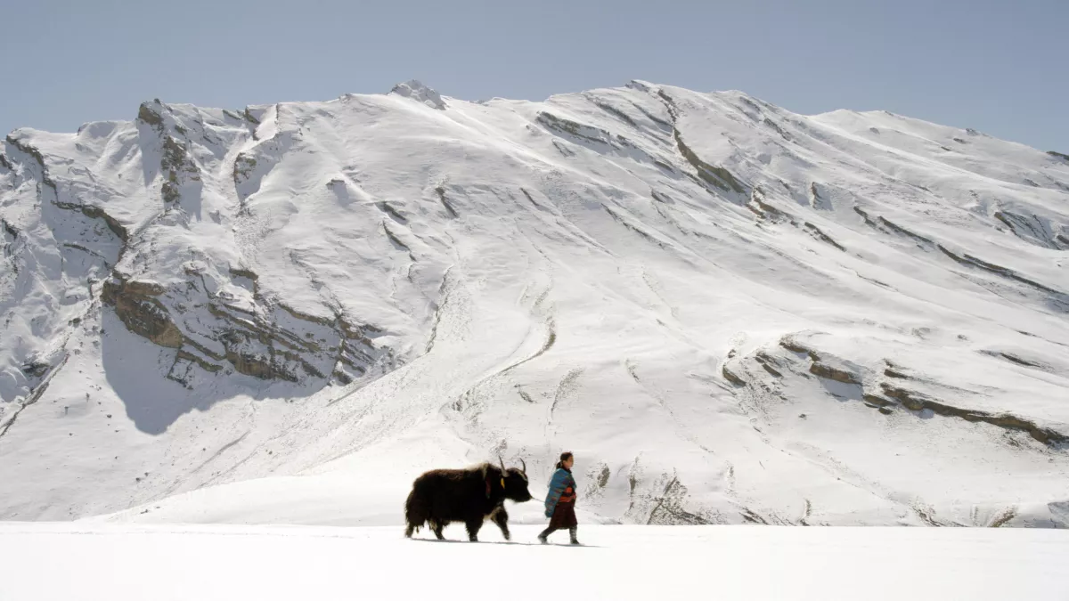 BBC 2016 MONTAGNES SAUVAGES