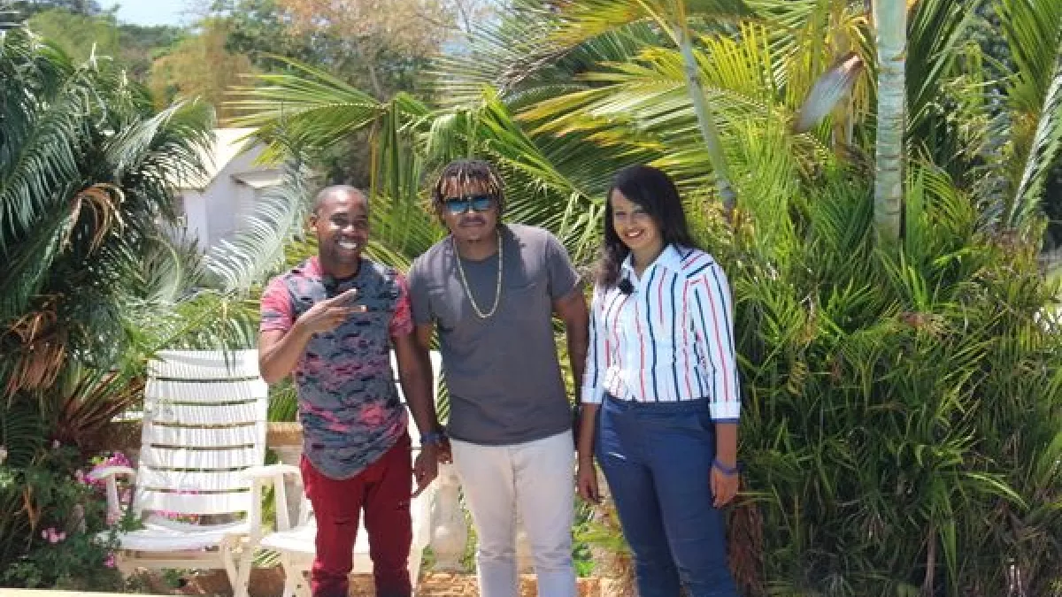 TOP MASSIWA " Dievil Genius"- TOP MASSIWA " Dievil Genius"-