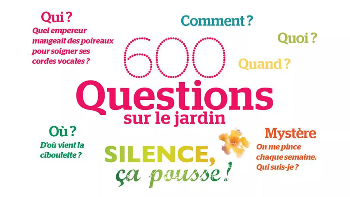 visuel la boite à questions visuel le boite à questions