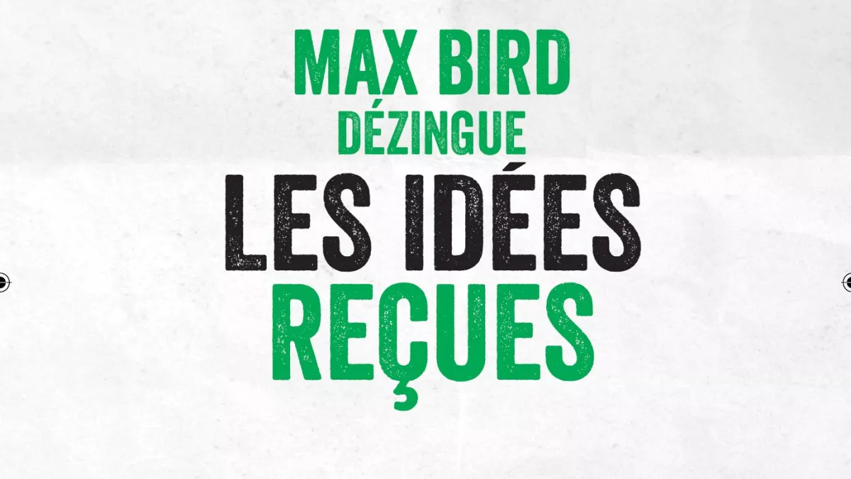 visuel max bird visuel max bird