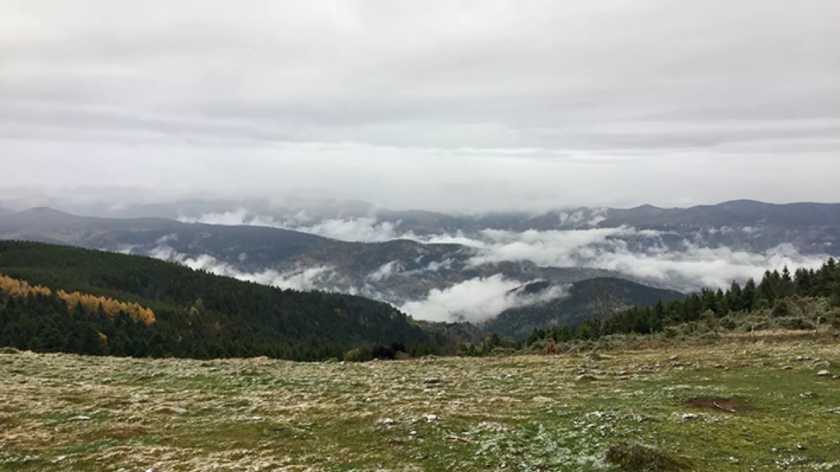 PCPL Hautes-Vosges PCPL Hautes-Vosges