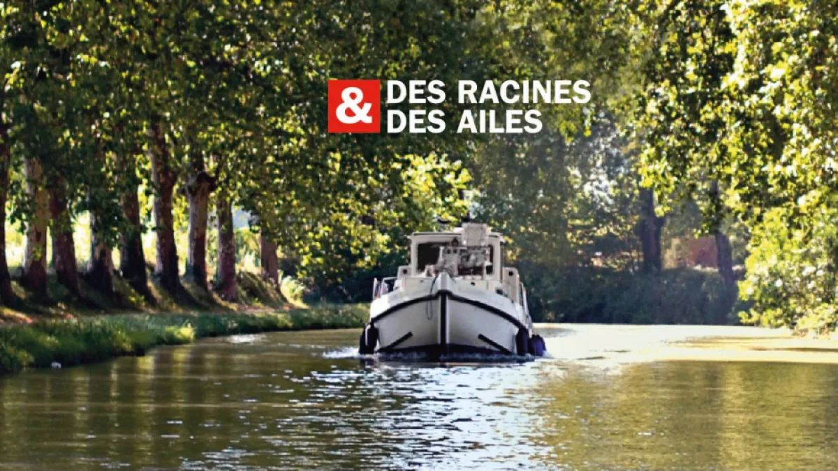 des racines et des ailes des racines et des ailes