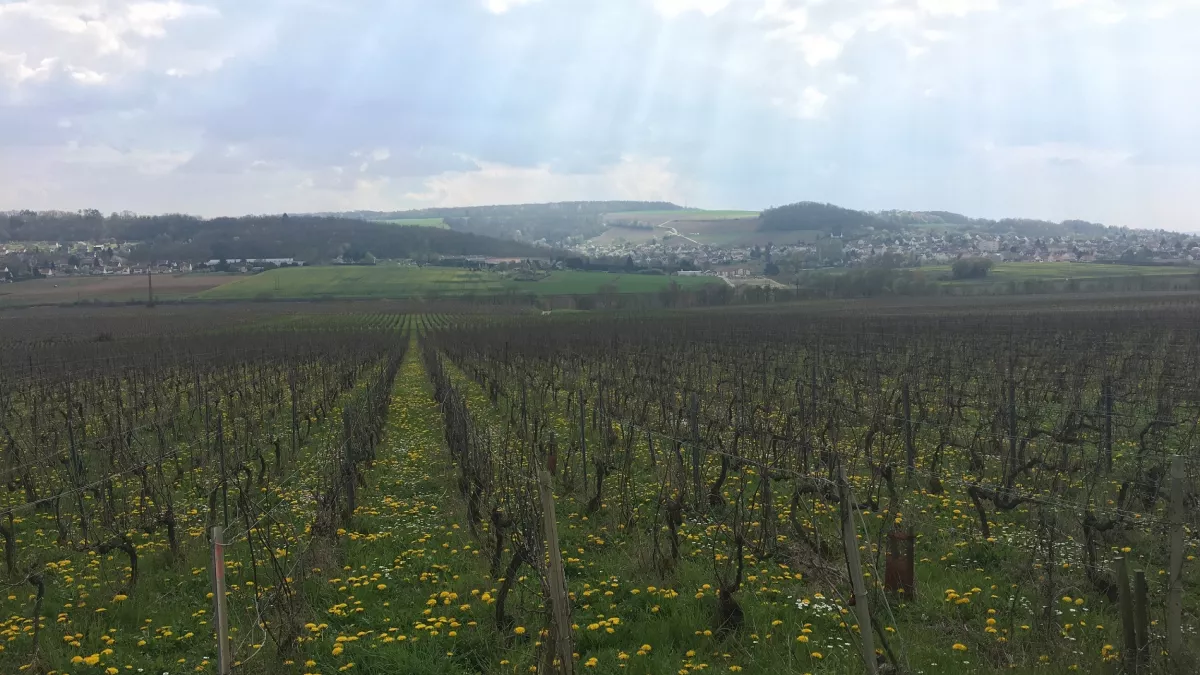 Château-Thierry, le fabuleux joyau de la vallée de la Marne Château-Thierry, le fabuleux joyau de la vallée de la Marne