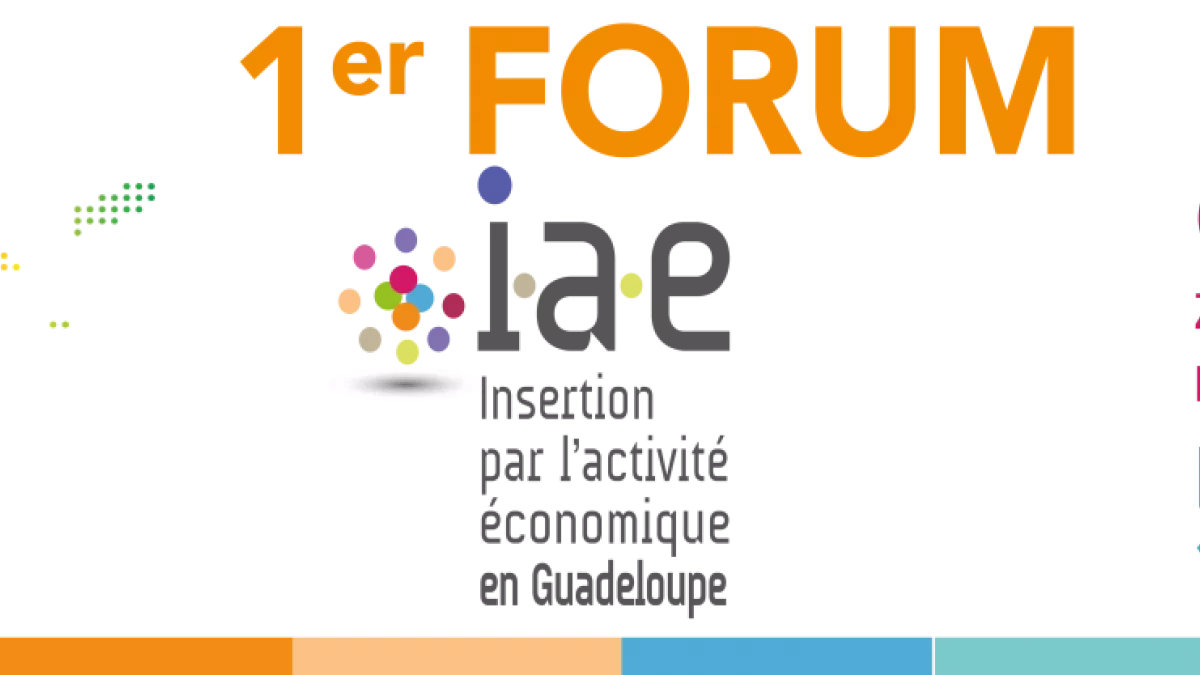 1er Forum de l’Insertion par l’Activité Economique forum de @l'insertrion par l'activité economique