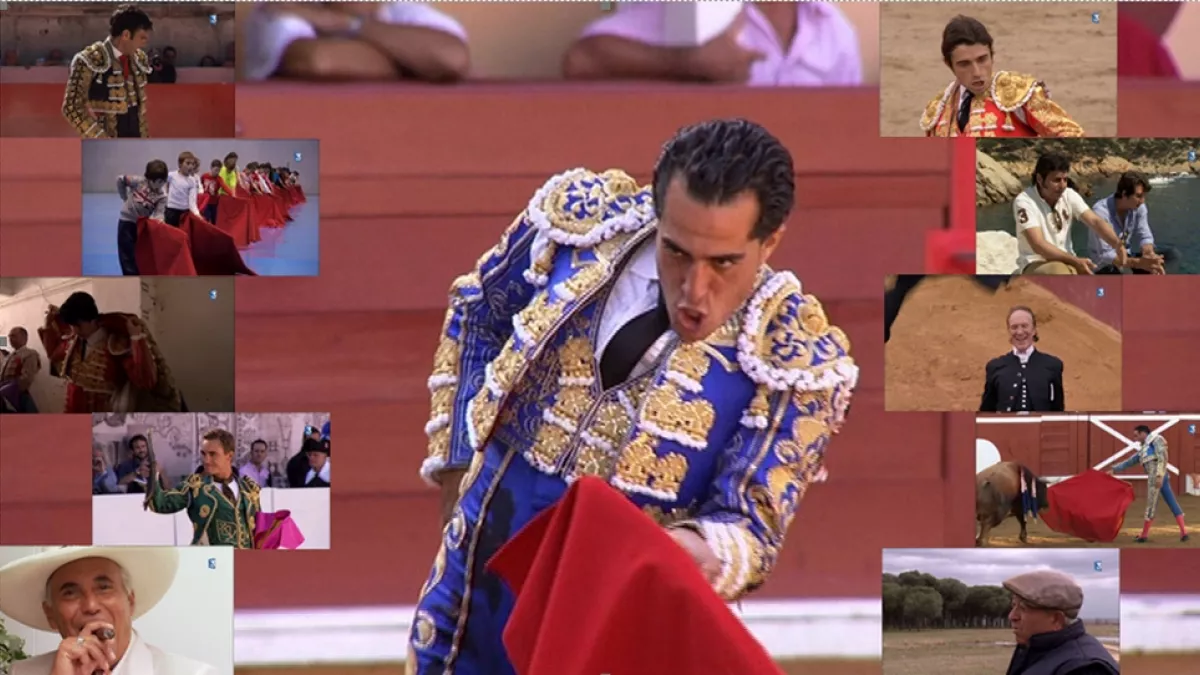 Signes du toro @france3occitanie Signes du toro @france3occitanie