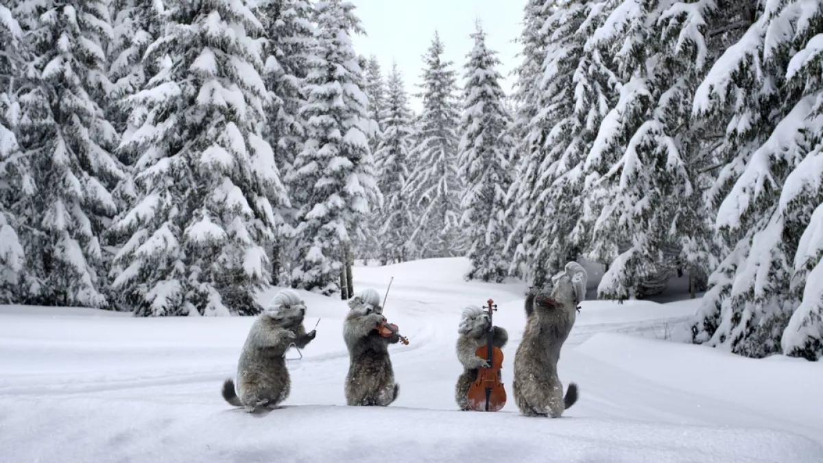 Les marmottes sous la neige©france3 Les marmottes sous la neige ©france3