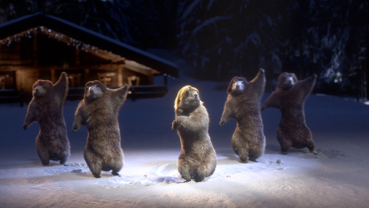 Marmottes