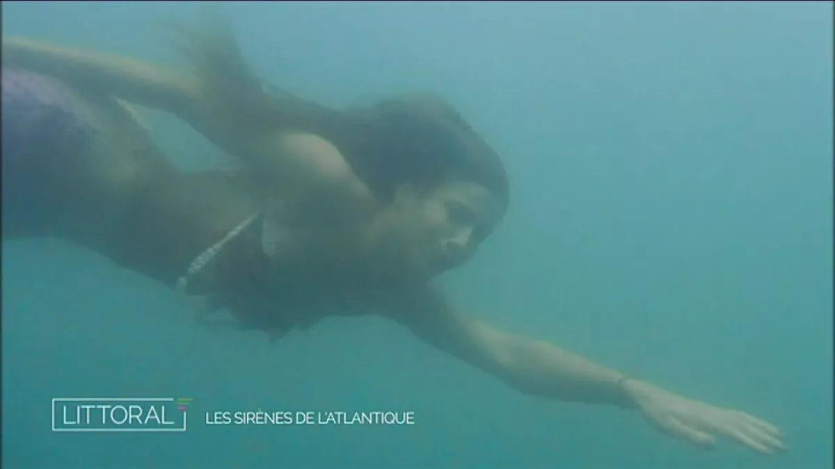 Sirène évoluant dans l'eau Sirène évoluant dans l'eau