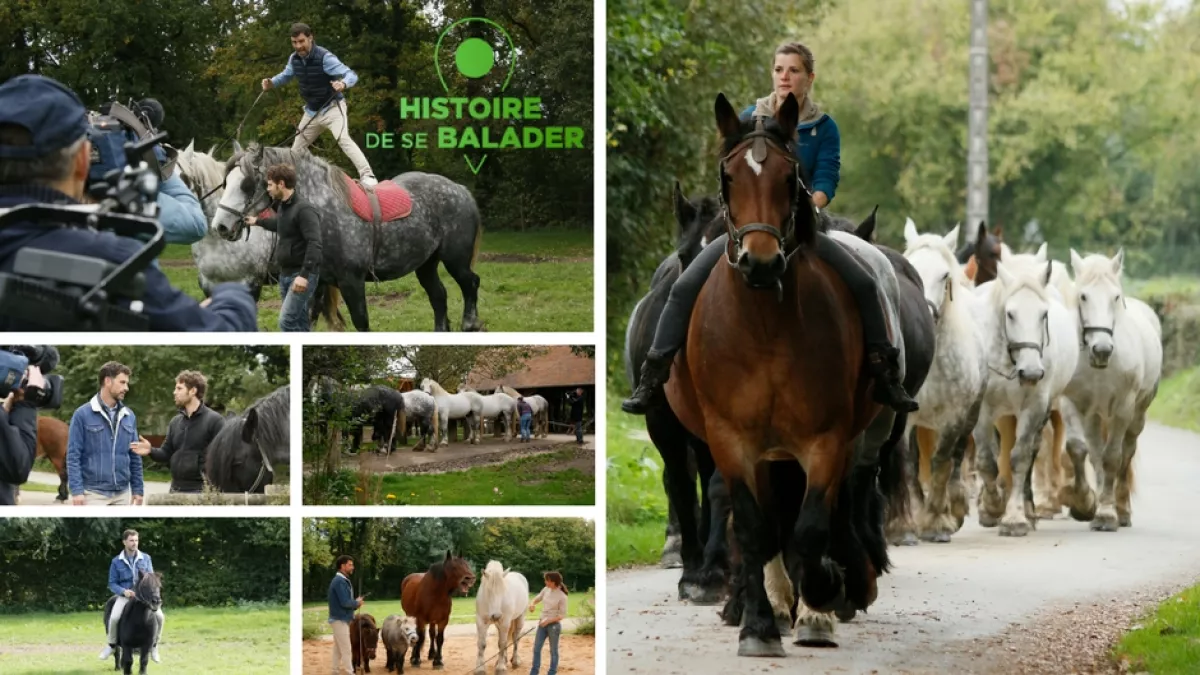 HISTOIRE DE SE BALADER : Nos terres au grand galop HISTOIRE DE SE BALADER : Nos terres au grand galop