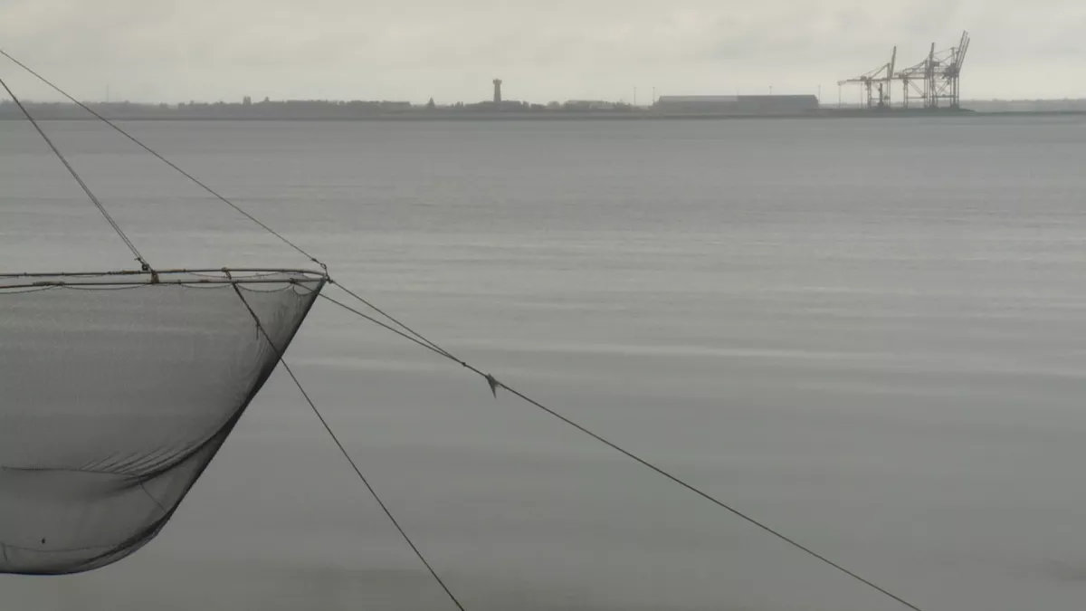 l'estuaire