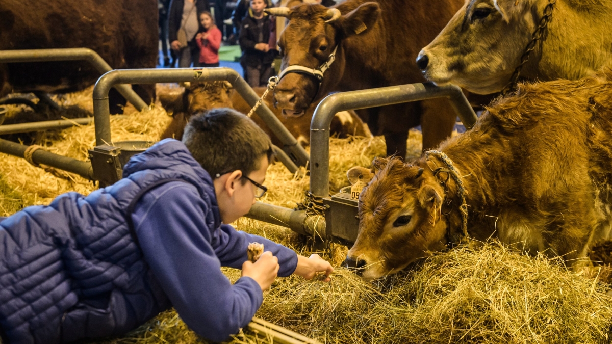 salon de l'agriculture © Ch. Petit Tesson / EFE / Newscom / MaxPPP