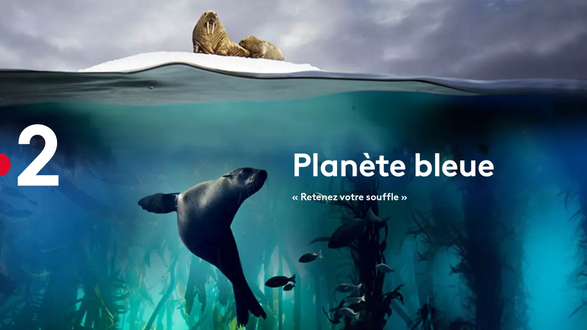 affiche planète bleue