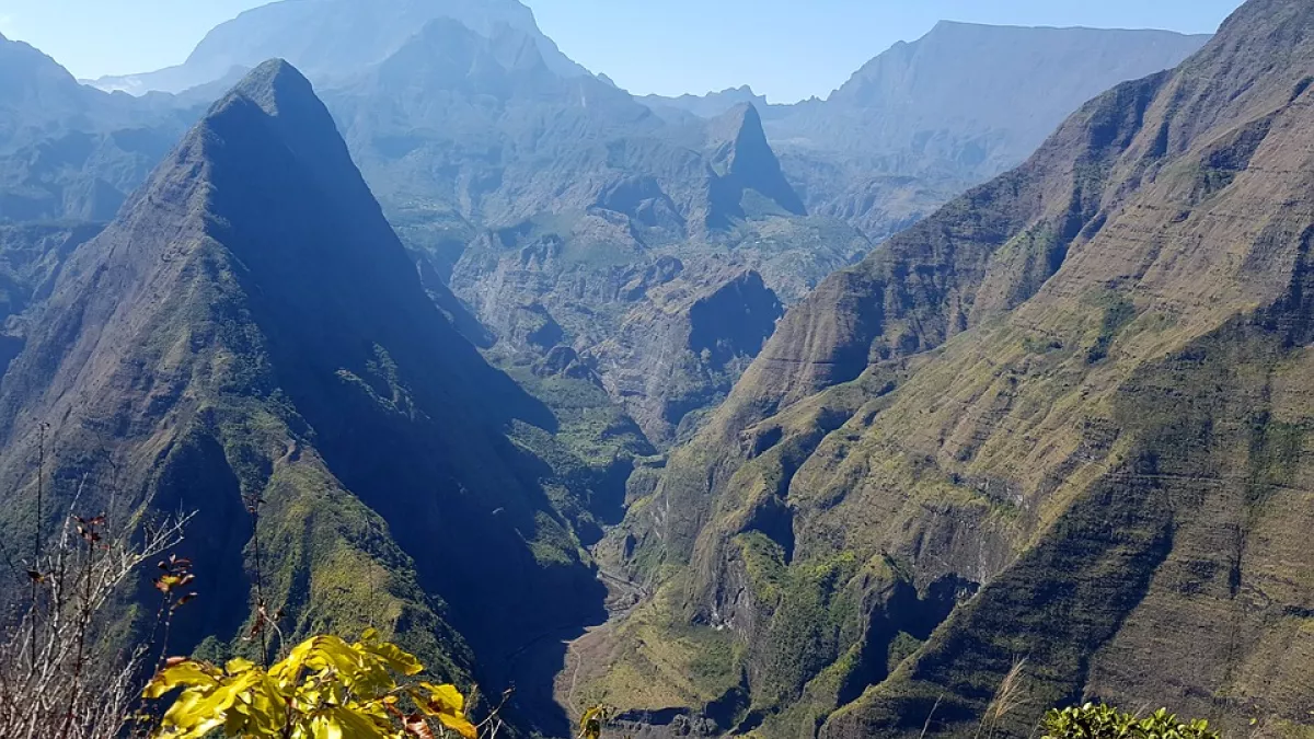 CDH la réunion ligne verticale CDH la réunion ligne verticale