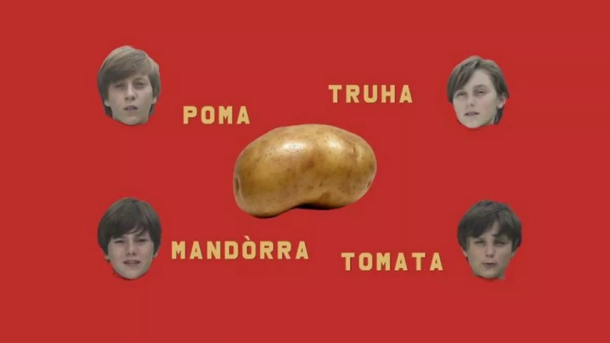 La pomme de terre en Bigorre / © Piget / France Télévisions La pomme de terre en Bigorre / © Piget / France Télévisions