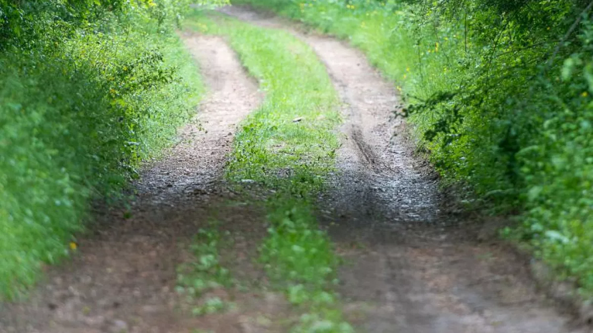 Les Randonnées de l'été - ©Pascal Sulocha Les Randonnées de l'été - ©Pascal Sulocha