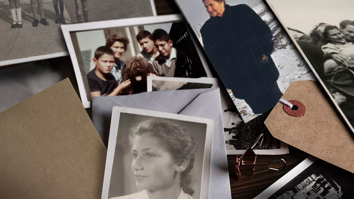 SIMONE VEIL, ALBUMS DE FAMILLE SIMONE VEIL, ALBUMS DE FAMILLE