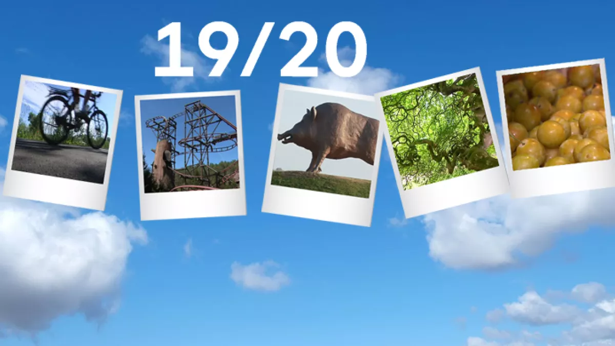 Un été dans le Grand Est 2018 - crédit FTV Un été dans le Grand Est 2018 - crédit FTV