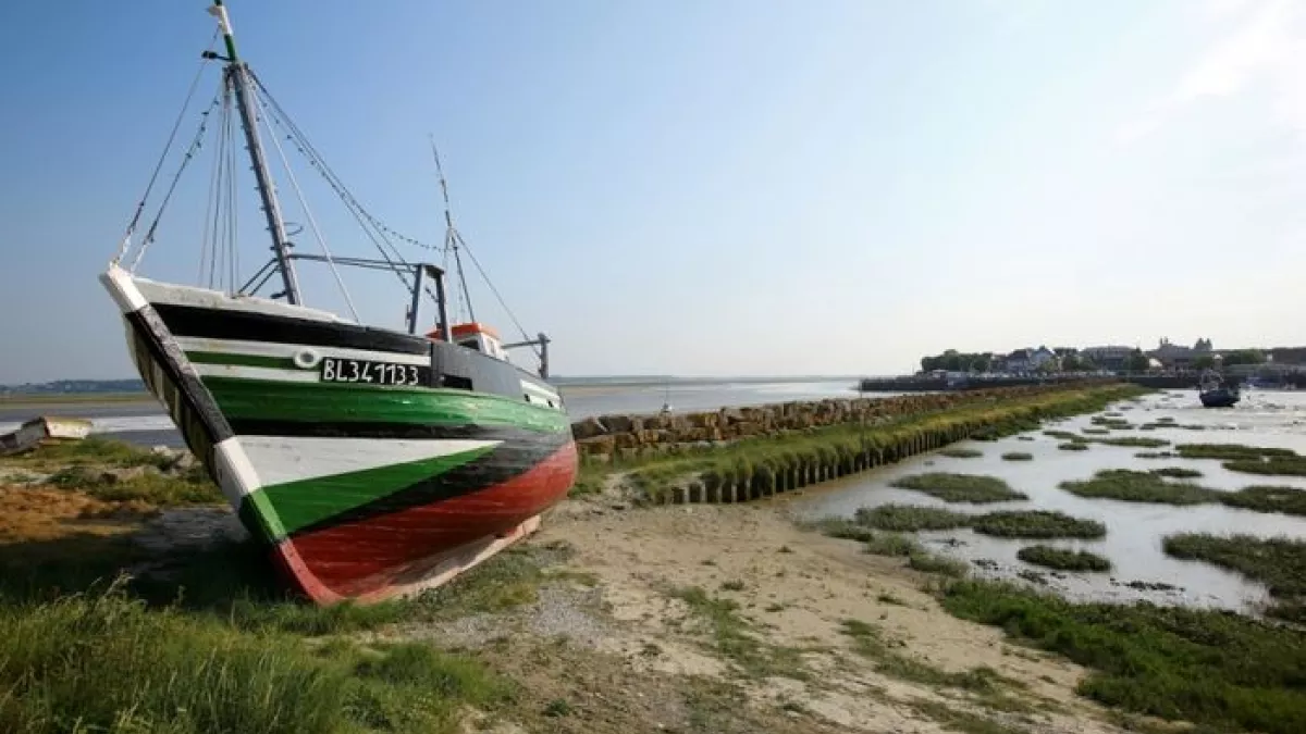 BAIE DE SOMME BAIE DE SOMME