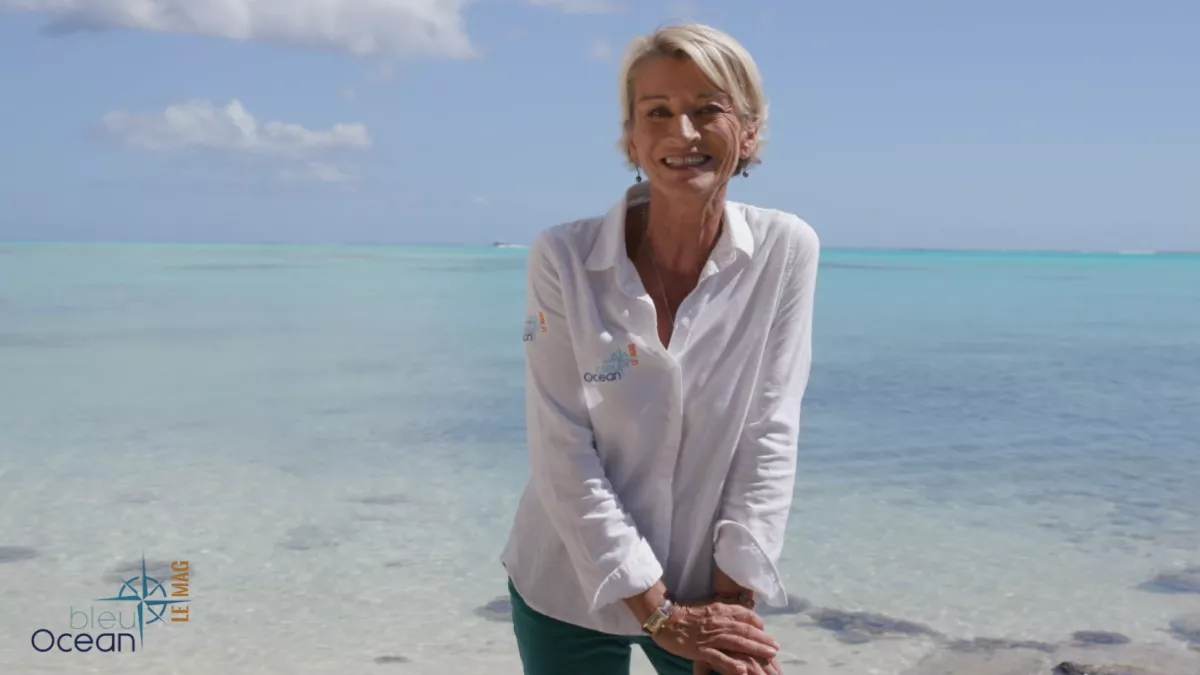 @lesfilmsdupacifiquetahiti Bleu Océan - le mag n°2