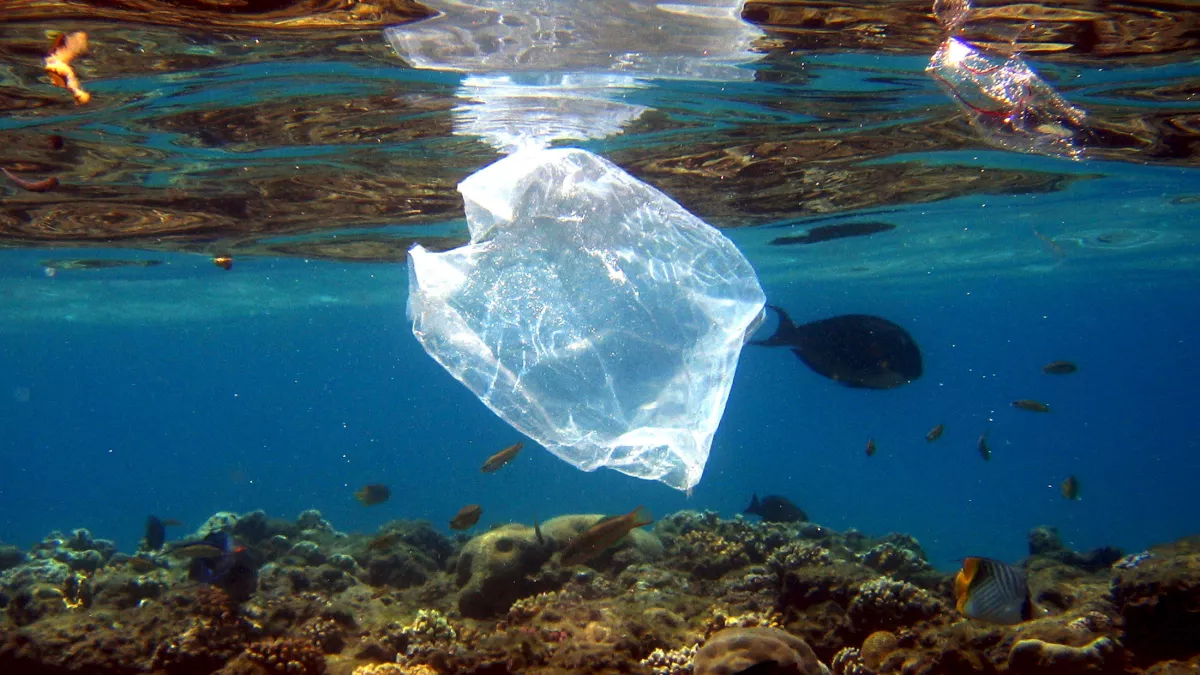 © Mike Nelson / EPA / Max PPP © Mike Nelson / EPA / Max PPP