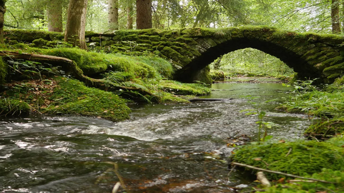rivière rivière