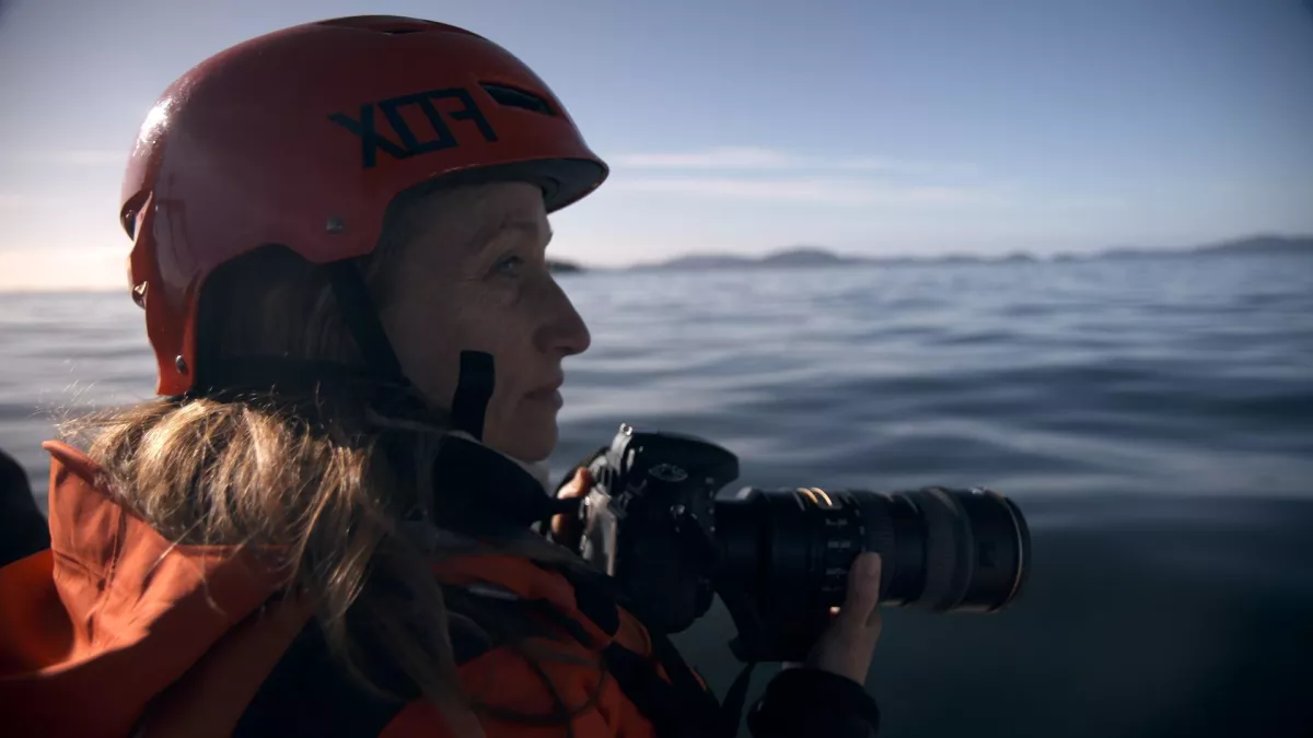 F3 S49 2018 - L'aventure continue avec Céline Cousteau F3 S49 2018 - L'aventure continue avec Céline Cousteau