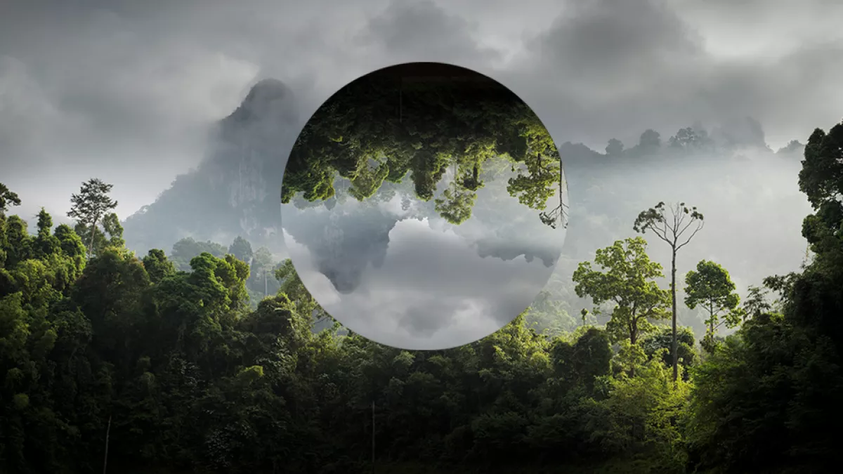 Visuel Une journée pour la Terre Visuel Une journée pour la Terre