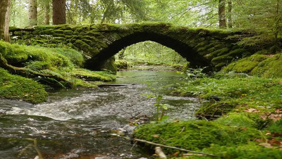 La rivière©FranceTélévisions/BOTravail ! La rivière