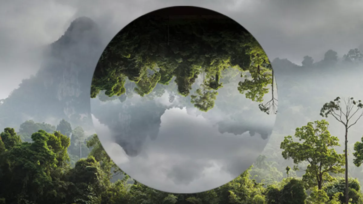 environnement environnement