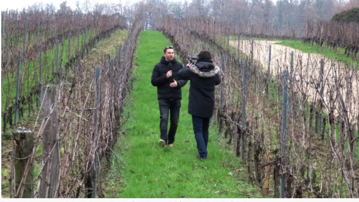 Castillon Castillon