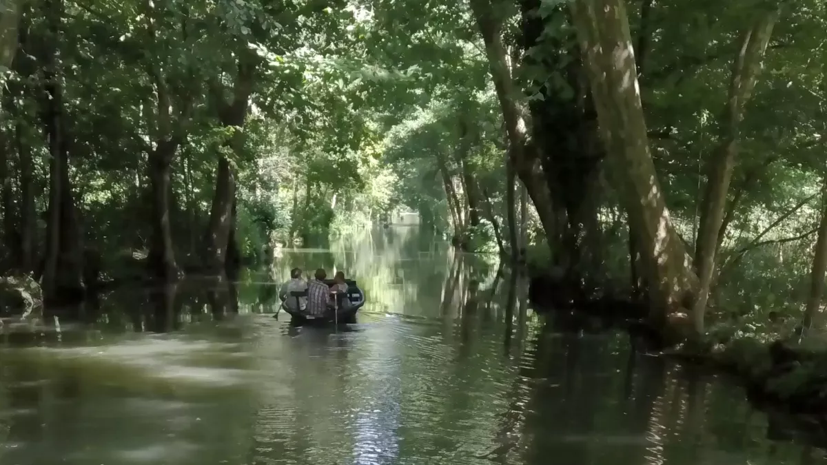 © Nassim Issiakhem et Bruno Sevaistre MARAIS, UN TRÉSOR CACHÉ ENTRE TERRE ET MER