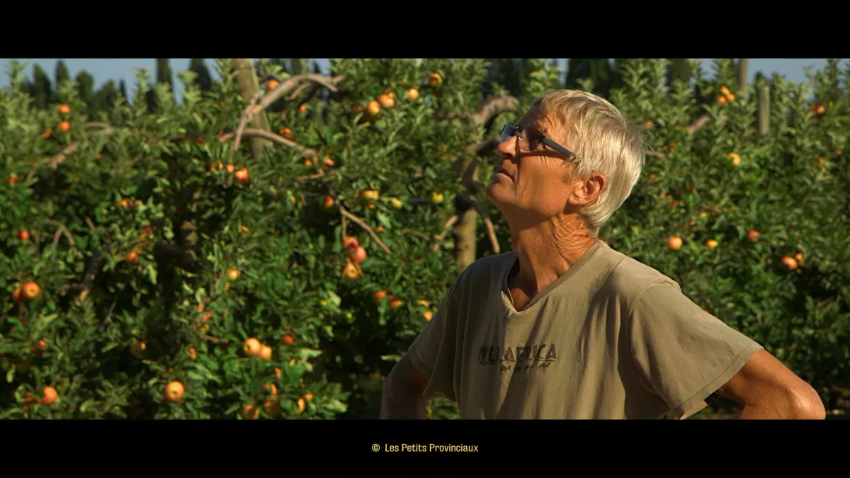 Les fruits d'une vie © Les petits provinciaux Les fruits d'une vie