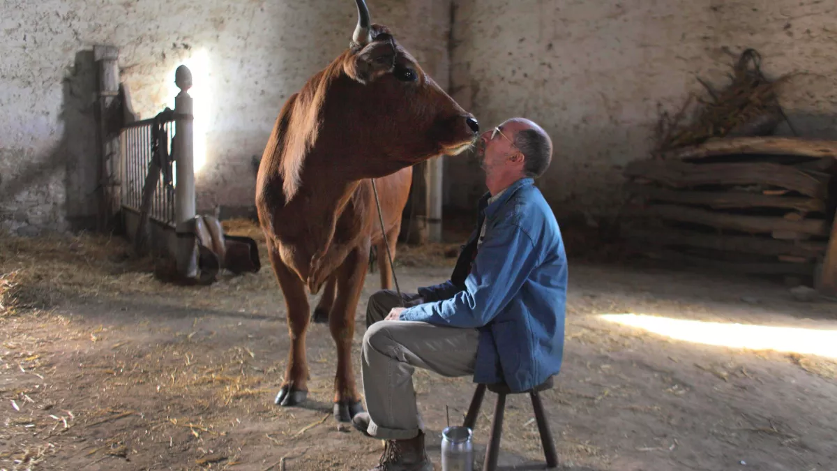 Jean-Claude LOTHER - © 2015 Mitico - Quad / Kissfilms / Pathé Production / France 3 Cinéma / Agora Films /14ème Art Production / Ten Films VACHE (LA)