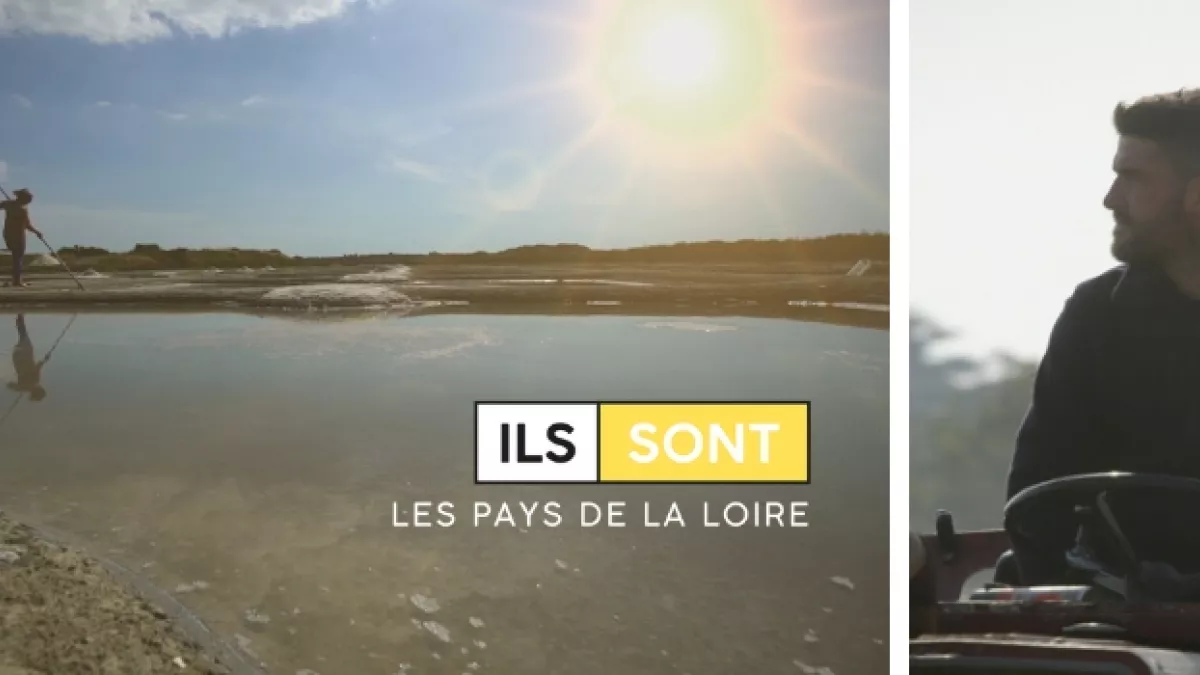 ils font les PDL ils font les PDL