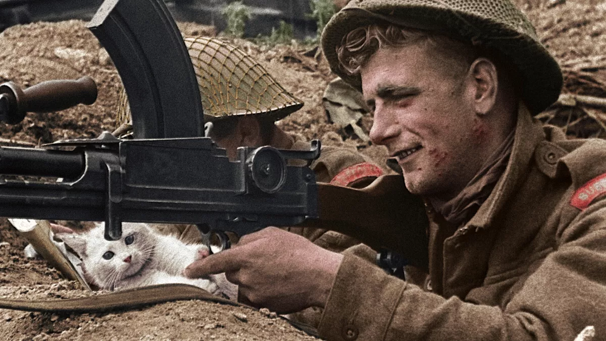 39-45, les animaux dans la guerre 39-45, les animaux dans la guerre