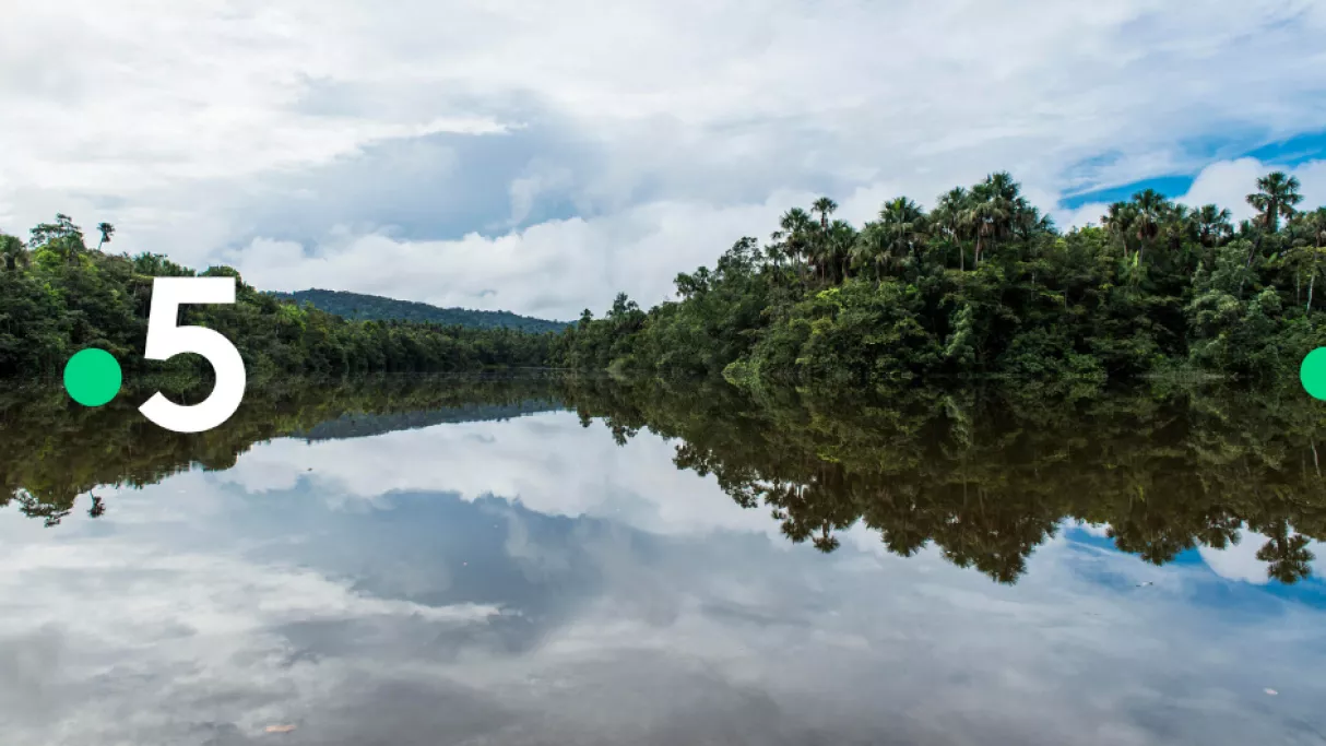 © GUYON Nathalie / FTV