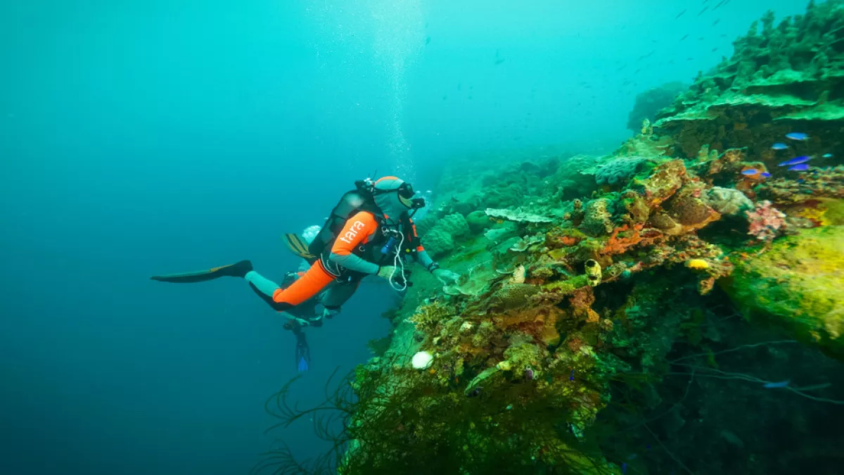 JOURNEE MONDIALE DES OCÉANS 2019 JOURNEE MONDIALE DES OCÉANS 2019